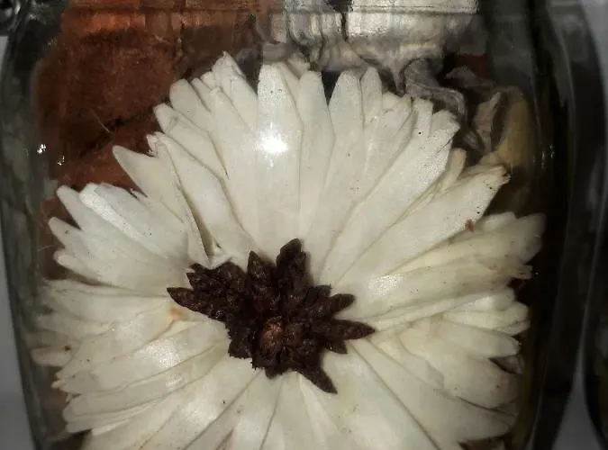 Daire Corredera Parking Casco Historico *