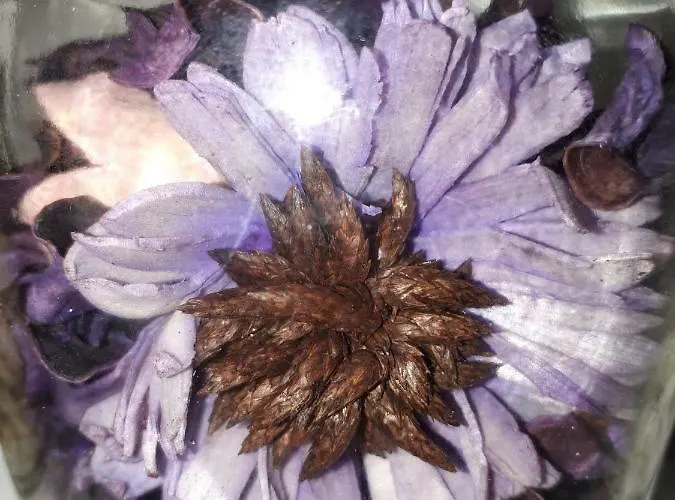 Corredera Parking Casco Historico Cordova